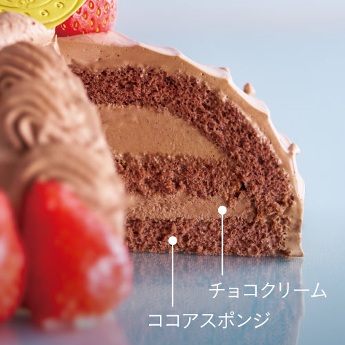 チョコカブト　直径約15cm（店舗受け取り）